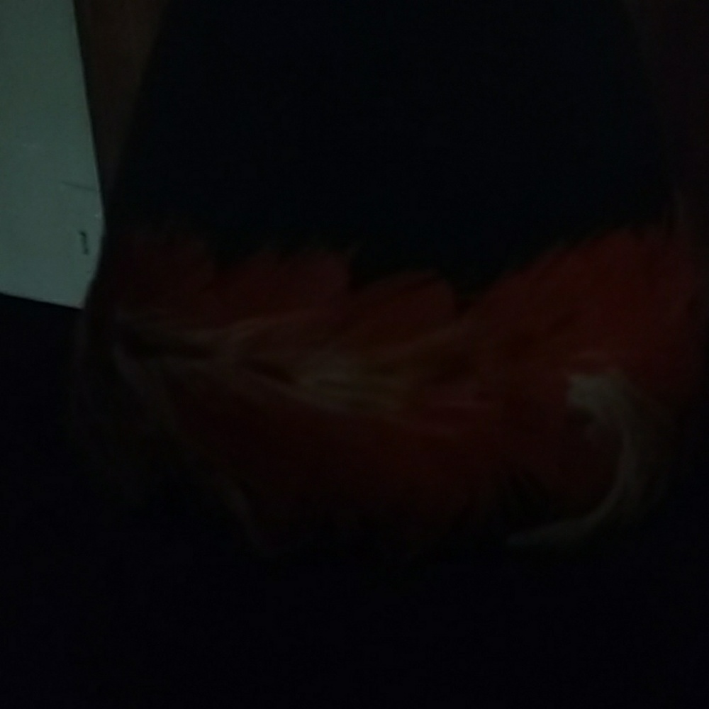 Cowboy Hat